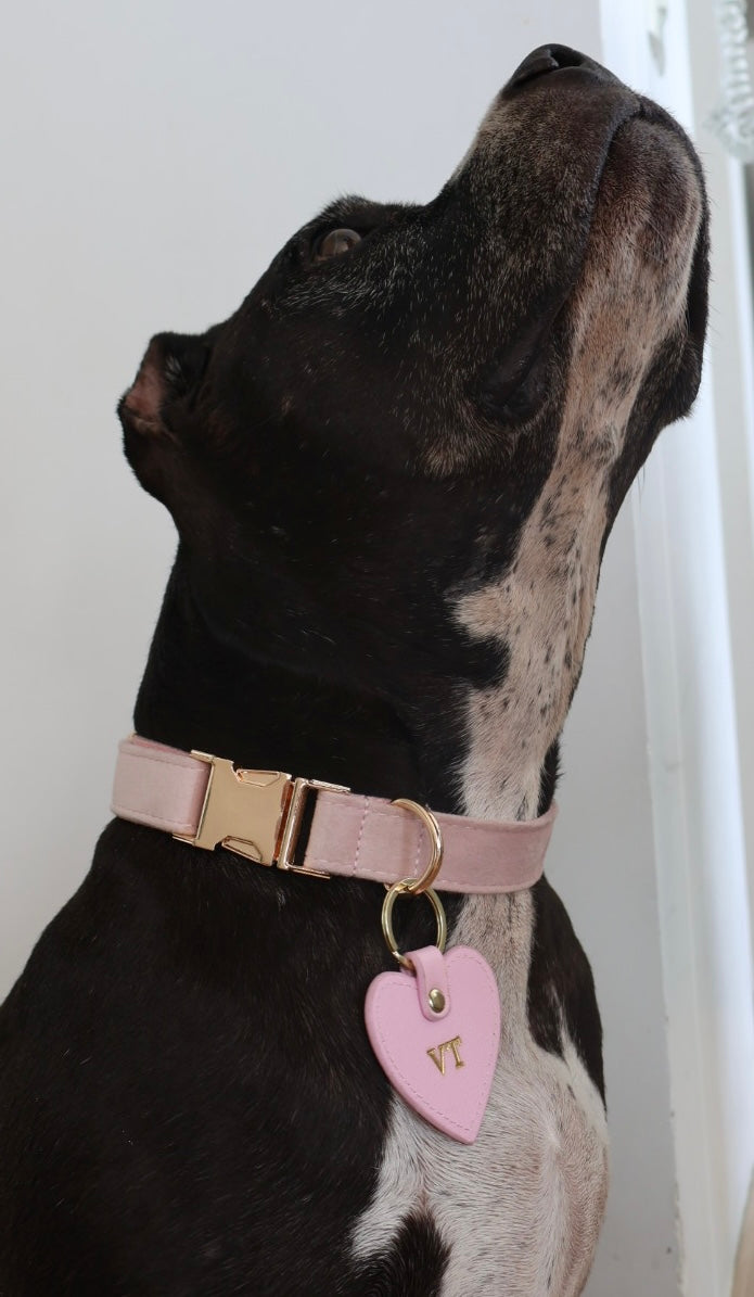 🤍 V E N U S  P L A N E T🤍